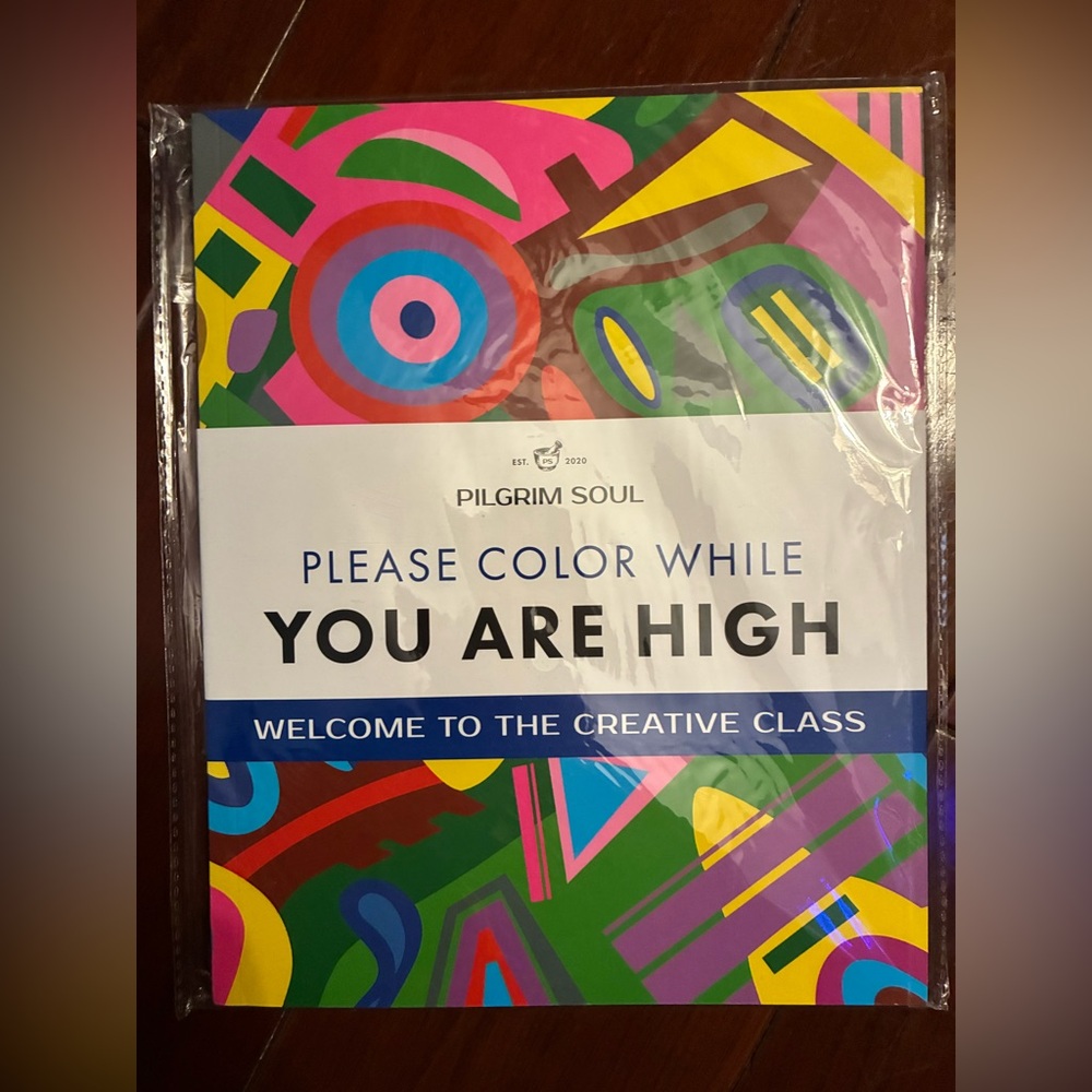 Pilgrim Soul adult Coloring Book. “Please color while YOU ARE HIGH” Brand new